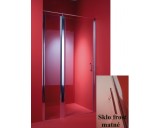 Sprchové dveře ALTEA 100 cm (chromovaný rám, sklo frost - matné)